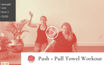 “Push and Pull” Glider/Towel Workout