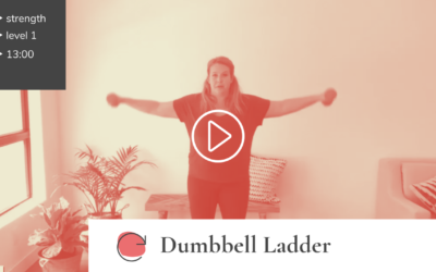 Dumbbell Leg + Shoulder Ladder