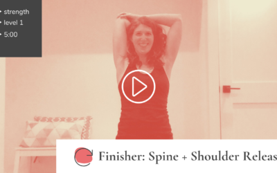 FINISHER: Spine + Shoulder Releases