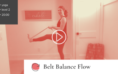 Belt Balance Flow