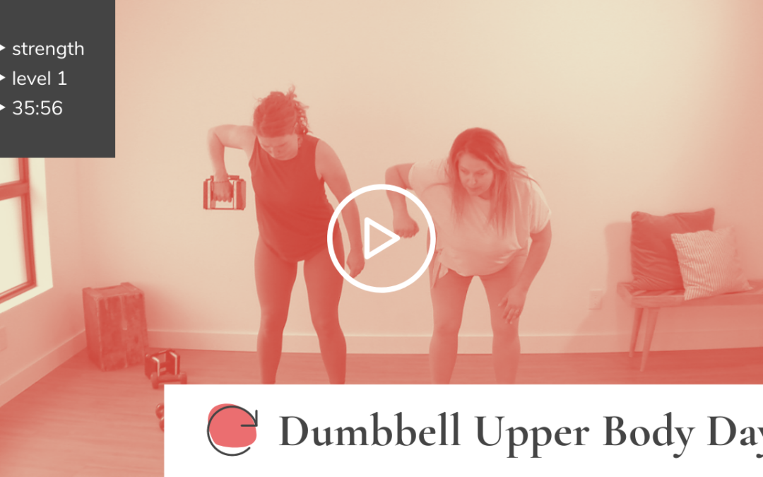 Dumbbell Upper Body Day