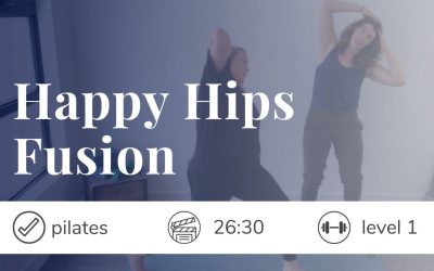 Happy Hips Fusion