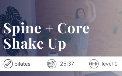 Joyful Moves: Spine Core Shakeup