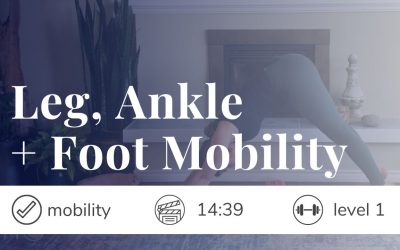 Leg, Ankle + Foot Mobility