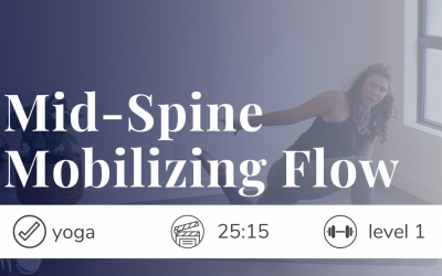 RMC: Mid-Spine Mobilizing Flow
