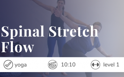Spinal Stretch Flow