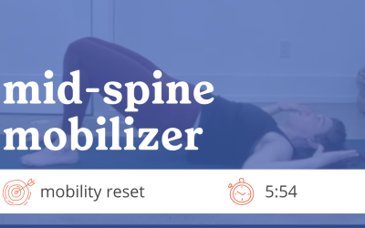 RMC Mid-Spine Mobilizer