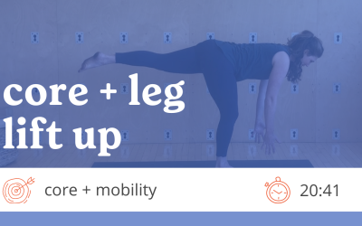 RMC Core + Leg Lift Up